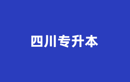 四川省专升本学校